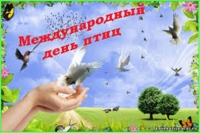 Международный День птиц 2015